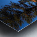 Enchanted Glimpse: The Mystical Charms of Red Canyon Metal print