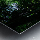 Oxbow Lake - LA Metal print