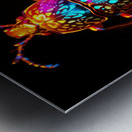 Scarab Beetles Metal print