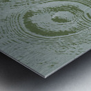 Green Reverie Metal print