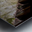 Always Ascending Metal print