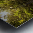 _MG_6866 Metal print