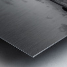 _MG_6888 Metal print