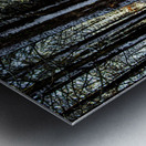 A Dusting Of Snow Metal print
