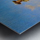 Camino de la Feria Metal print