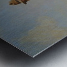 A man riding a donkey Metal print