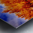 Forest Fire Metal print