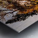 The Last Moment Metal print