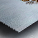 Roadside Fall Metal print