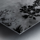 stanford main quad  vertical 2896 Quad 13k Metal print