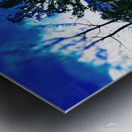 The Secret Forest Metal print