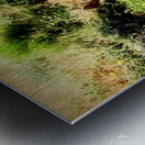 Dandelion Deer Metal print