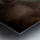 Venice San Simeone Piccolo Church Metal print