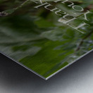 Poppy Thank You Metal print