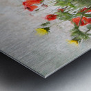 Normandy France Poppy Field Metal print