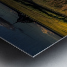 Mont Saint Michel Sheep Metal print