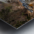 Arboreal Gateway: Tunnel Rock Sequoia National Park Metal print