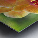 Oriental Spa Metal print
