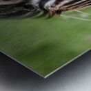 Welcome Metal print