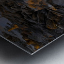 Washington Gardens Cochina  Sunset Metal print