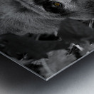 Bahati The Great Metal print