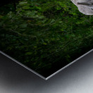 African Siesta Metal print