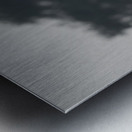 Leopard Moose Camel Metal print