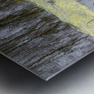 Winter Pond Textures Metal print