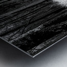 Infrared Forest Metal print