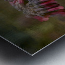 Pink Chandelier Kalanchoe Delagoensis Flower Metal print