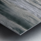 Coquina Beach Birds Palm Coast Florida Metal print