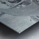 Havsnaud Metal print