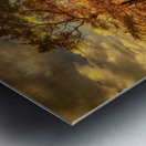 Appalachian Red Tree in Autumn Metal print