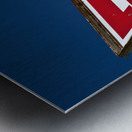 Petrol Metal print