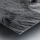 Im Sexy and I Know It Metal print