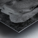 Musthve Been Metal print