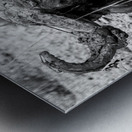 Nothing to See Here Metal print