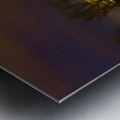 Old Frankfurt Germany Sachsenhausen Church Metal print