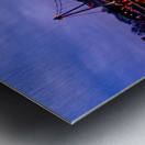 Sachsenhausen Bridge  Sunset Metal print