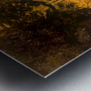 Sunrise Through the Trees Metal print