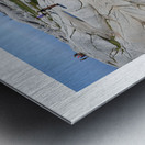 LA TERRE N EST PAS PLATE 2 Metal print