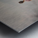 Woman in the Enigmatic Fog Metal print