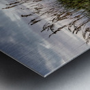 Hilton Head Sand Dunes Metal print