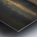 Beauty by Emerson Metal print