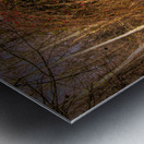 Marsh Colors of Winter Metal print