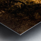 Sunrise Through the Trees 1 Metal print