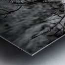 The Night Time is the Right Time Metal print