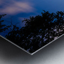 Magic Mushroom Kingdom Metal print