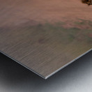 Stray Cat Strut Metal print