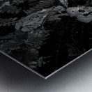 We Are Here Now Metal print